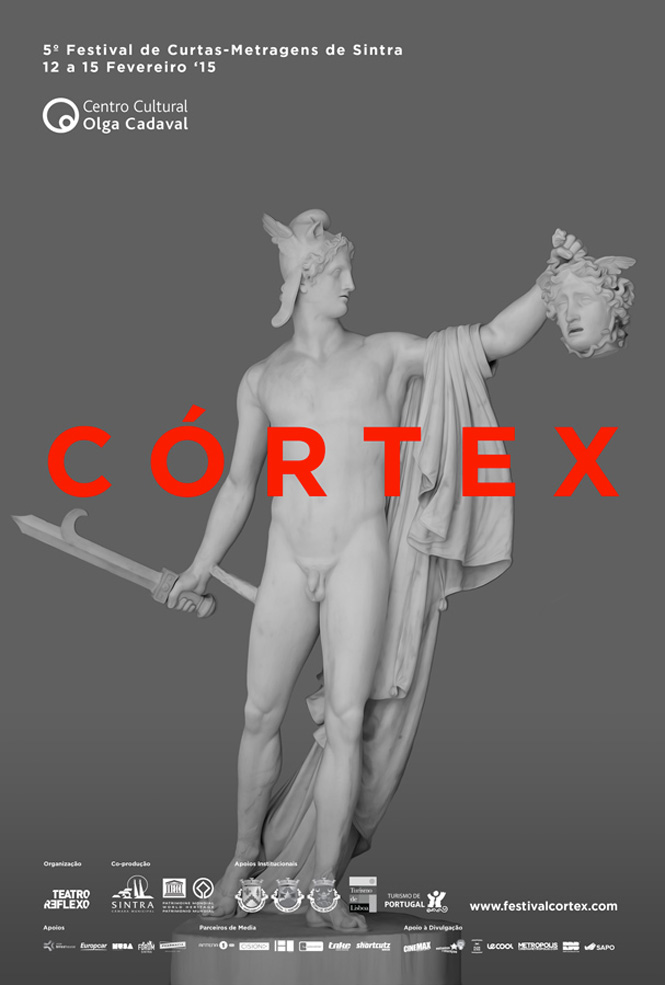 Córtex 5